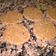 El cooksnap de Tefi cuando hizo Galletitas de avena con pasas de uvas.