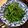 Lin Shu Jhen 的 蒜炒空心菜 cooksnap