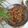 Cooksnap dari triana untuk resep Tongkol Suwir Kemangi