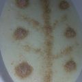 صورة من Butterfly، شاركها بعد تجربة وصفة ليالي لبنان
