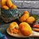 Cooksnap dari Dhapu Dewi untuk resep Kroket Singkong
