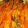 Cooksnap dari Diah Wah untuk resep Tongkol Balado bumbu kuning
