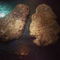 Cooksnap dari Sylvi Ajah Uest untuk resep Daging Kebab Recook