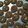 Cooksnap dari Lillys Sulistyowati untuk resep Kukis Coklat Mede