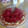 El cooksnap de Lu Mazza cuando hizo Tarta de frutillas con crema 🍓.