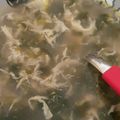 El cooksnap de Gabriela Aguirre cuando hizo Sopa de Algas.