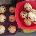 El cooksnap de Sol Güimil cuando hizo Muffins de miel 🍯.