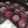 El cooksnap de Daniel Fonseca cuando hizo Sorrentinos con masa de remolacha rellenos de ricota y espinaca.