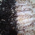 Cooksnap dari Dyah Eni untuk resep Martabak manis teflon