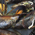 El cooksnap de Marieta cuando hizo Mejillones al vapor.