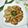 Cooksnap dari Syafa Syifa untuk resep Wingko Babat