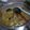 Cooksnap dari Yuni Rasqa untuk resep Tongseng Daging Sapi