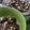 Cooksnap dari Widya Oktavivi untuk resep Crispy brownies