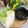 Cooksnap của Quỳnh Hương Hoa khi họ làm theo món Kho quẹt rau luộc và canh bí đỏ