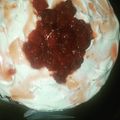 El cooksnap de Amalia Vasquez cuando hizo Torta Bolivariana.