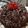 Cooksnap dari Farkhanah Farouk Achmad untuk resep Blackforest panggang