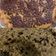Cooksnap dari Hidayati Tajudin untuk resep Banana Oats Soft Cookies: Kue Lebaran Sehat (Tanpa Tepung, Tanpa Telur)