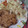 El cooksnap de Ivana Lopez cuando hizo Milanesas vegetarianas fáciles de hacer🥗.