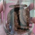 Cooksnap dari erika.sinaga untuk resep Oat cookies panggang teflon
