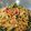 Cooksnap dari Novi Herawati untuk resep Mie Goreng Karih