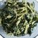 Cooksnap dari Bunda Marsha untuk resep Tumis Kangkung with Terasi
