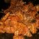 Cooksnap dari Endah Odelia Pinot untuk resep Ayam Sambal Cabe Merah