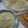 Mitu's Magic's cooksnap of when they made Crispy Paper Dosa.