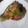 El cooksnap de Sandra Molina cuando hizo Atún a la plancha con ajo y perejil.