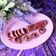 Cooksnap dari Puspitasari Anggradewi untuk resep Oreo Swiss Roll
