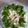 El cooksnap de Teresita Ubalde cuando hizo Ensalada Waldorf.