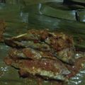 Cooksnap dari Nurlinda Gustiardi untuk resep Pepes Ikan Pindang