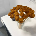 El cooksnap de Raul cuando hizo Deliciosas Palomitas de pollo al estilo KFC, caseras y súper fácil.