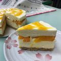 騰駿馬迷 的 免烤～芒果乳酪蛋糕 cooksnap