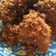 Cooksnap dari Inggar Sayekti Ningrum untuk resep Ayam Goreng Serundeng Kelapa