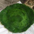 El cooksnap de Sole Farre cuando hizo Panqueque de espinaca con verduras salteadas (sin tacc).