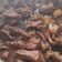 Cooksnap dari Vivien untuk resep Semur Daging Betawi plus Kentang Tahu 💛🥩