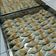 Cooksnap dari Ni Wa untuk resep Choi pan step by step anti gagal