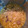 El cooksnap de Laura Gayete cuando hizo Alubias blancas en Thermomix.