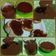 El cooksnap de Pamela Alejandra Saavedra cuando hizo Dulce de leche casero.