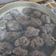 Cooksnap dari retha untuk resep Bakso Sapi... gariing enakkk