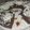 Cooksnap dari Vienty Frianto untuk resep Brownies Coklat Kukus