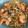 El cooksnap de Sonia Muñoz Kirchhoff cuando hizo Pasta a la marinera con fumet.
