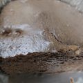 Cooksnap Azman Azlan semasa beliau membuat Kek Coklat Moist.