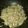 El cooksnap de MariBel Gomez Viveros cuando hizo Pollo en crema de champiñones y arroz con espinaca.