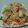 รูป Cooksnap ของ Tal Ratchaneekorn เมื่อเขาทำ ยำบะหมี่กึ่งผักกระเฉด