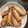 Angela 的 鹽烤泰國蝦（氣炸鍋） cooksnap