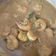 Cooksnap dari Ririn untuk resep Cumi tumis aceh