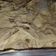 El cooksnap de Victoria Martínez cuando hizo Vitel Toné Con Peceto.