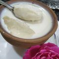 Shreya Mukherjee's cooksnap of when they made Nolen Gurer Mishti Doi(Yoghurt with Date palm jaggery) Bengali cuisine.