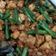 Cooksnap dari Pi untuk resep Oseng Tahu Tempe Kecap Pedas